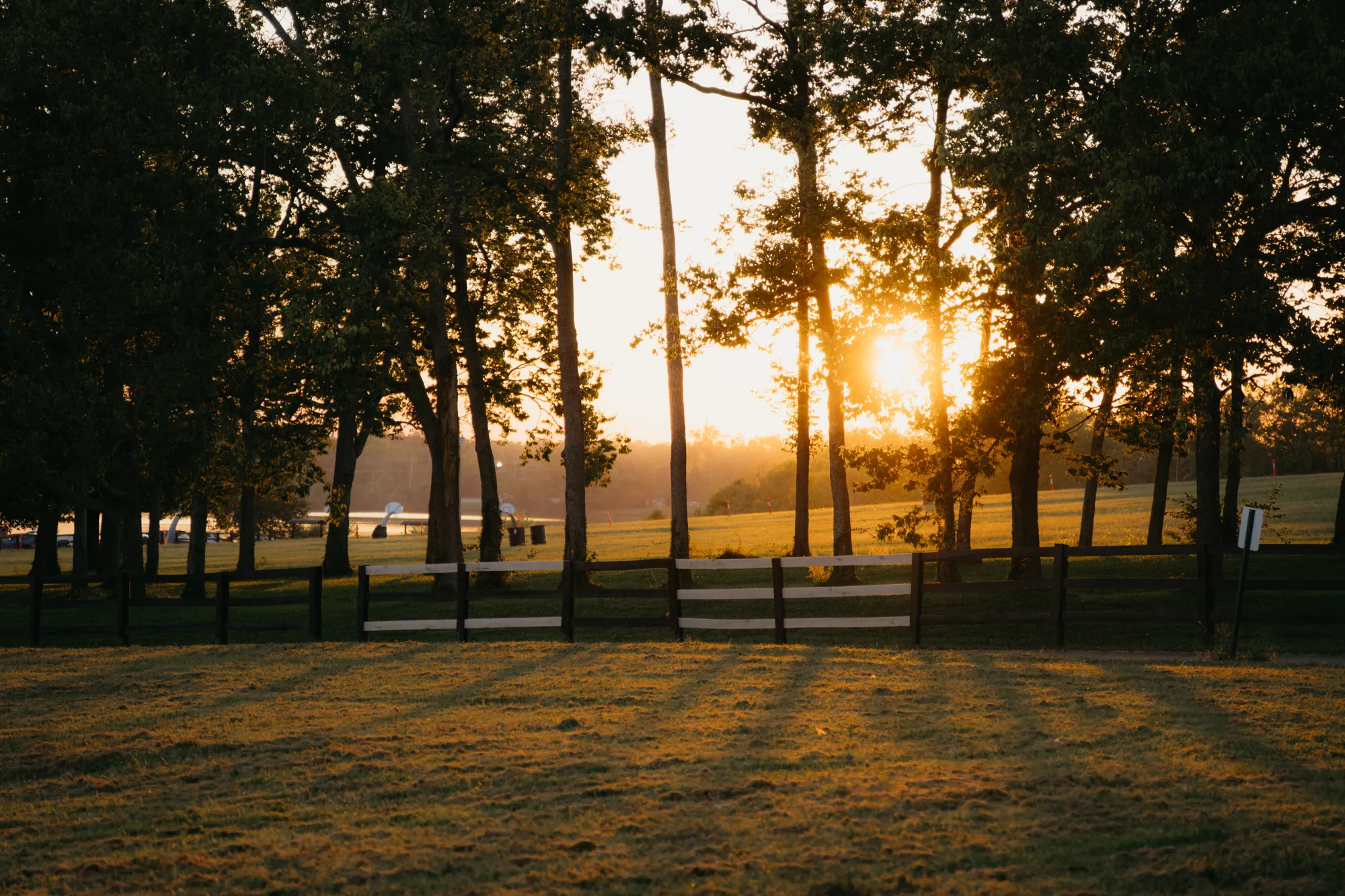 The sun setting behind a line of trees over a golden field and a white fence